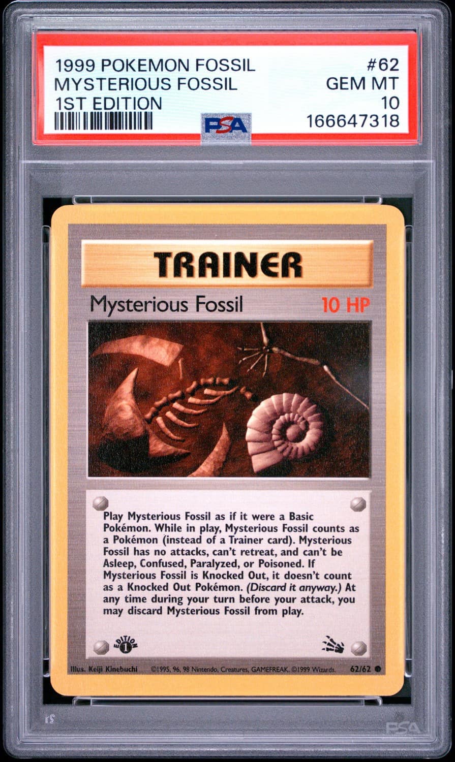 Mysterious Fossil