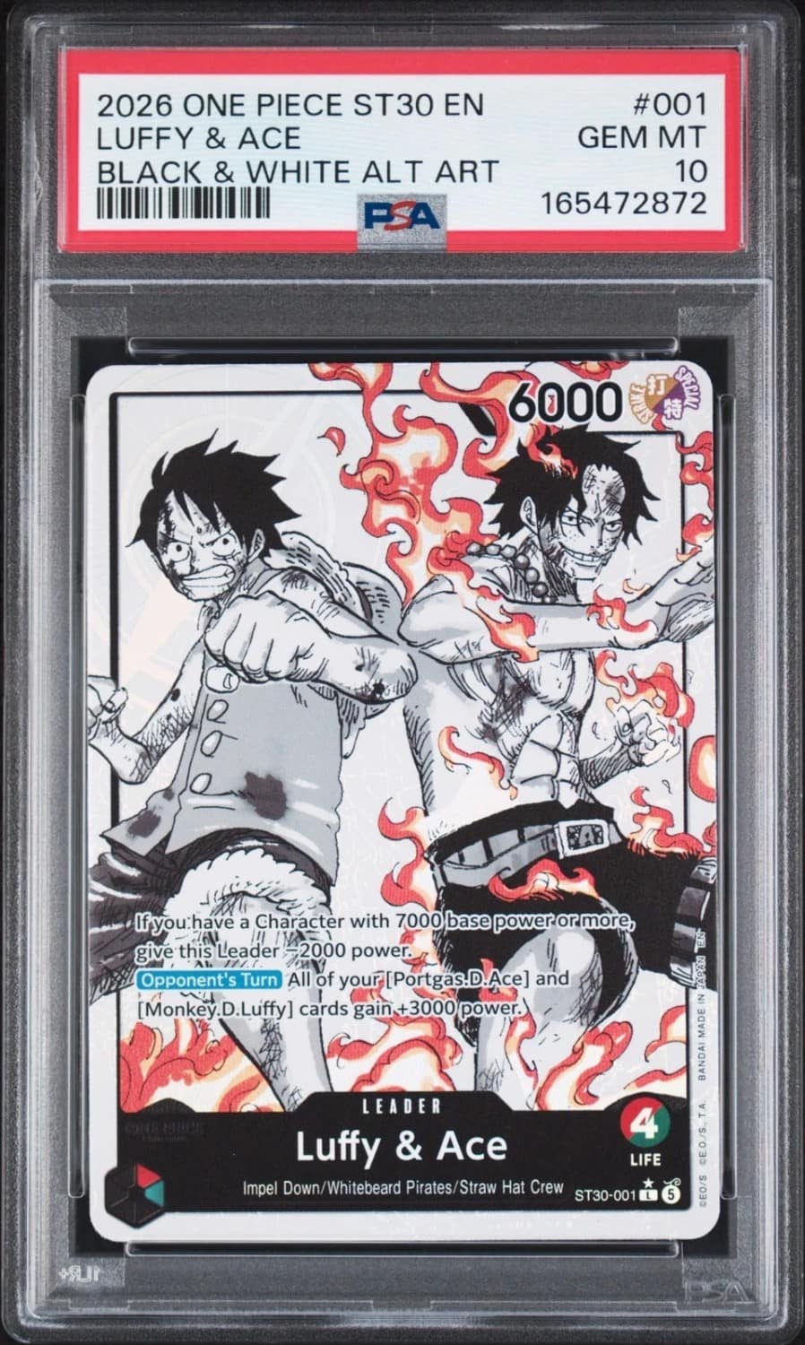 Luffy & Ace
