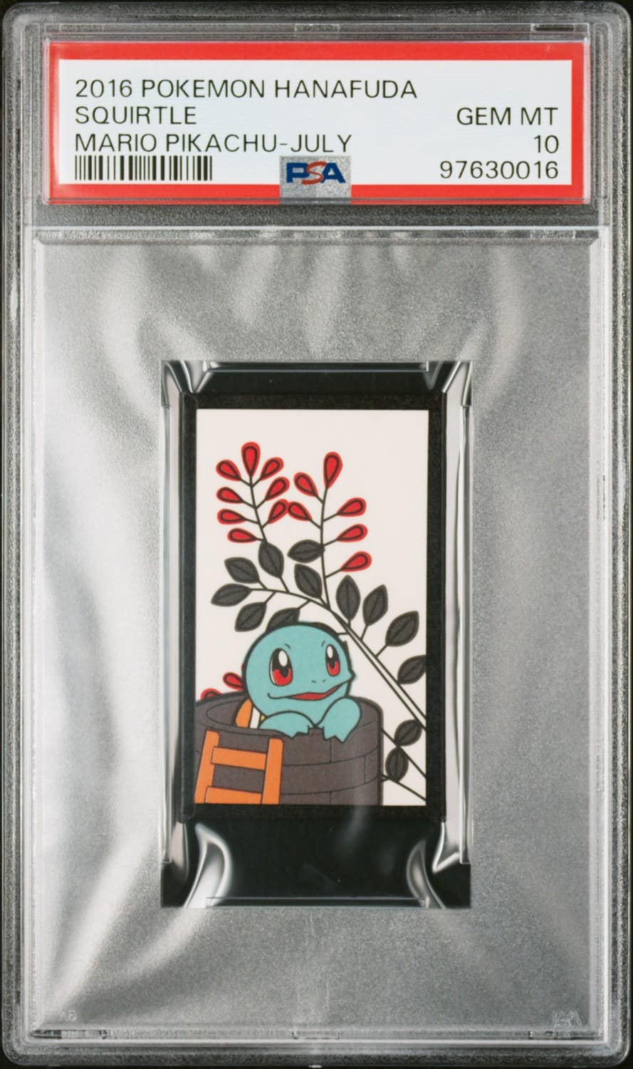 Squirtle