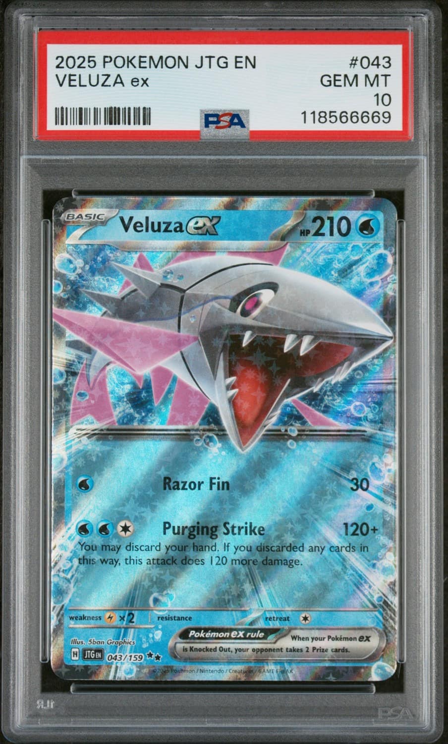 Veluza Ex
