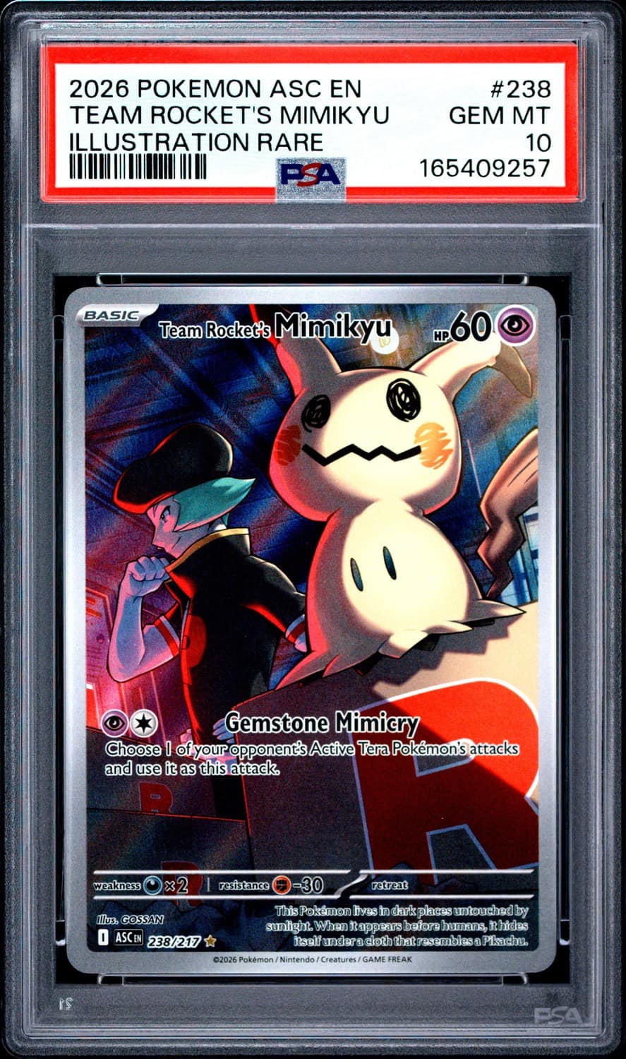 Team Rocket'S Mimikyu
