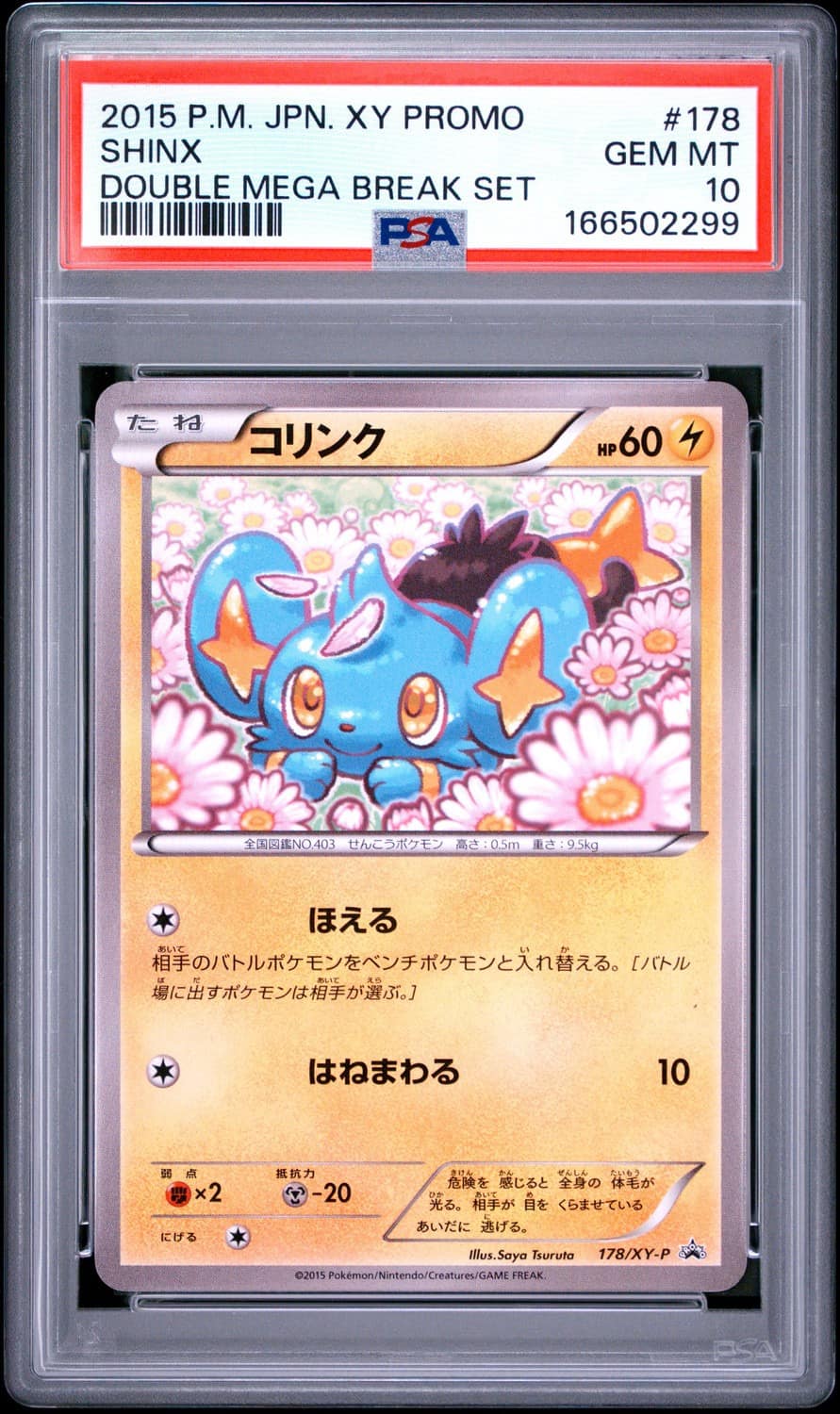 Shinx