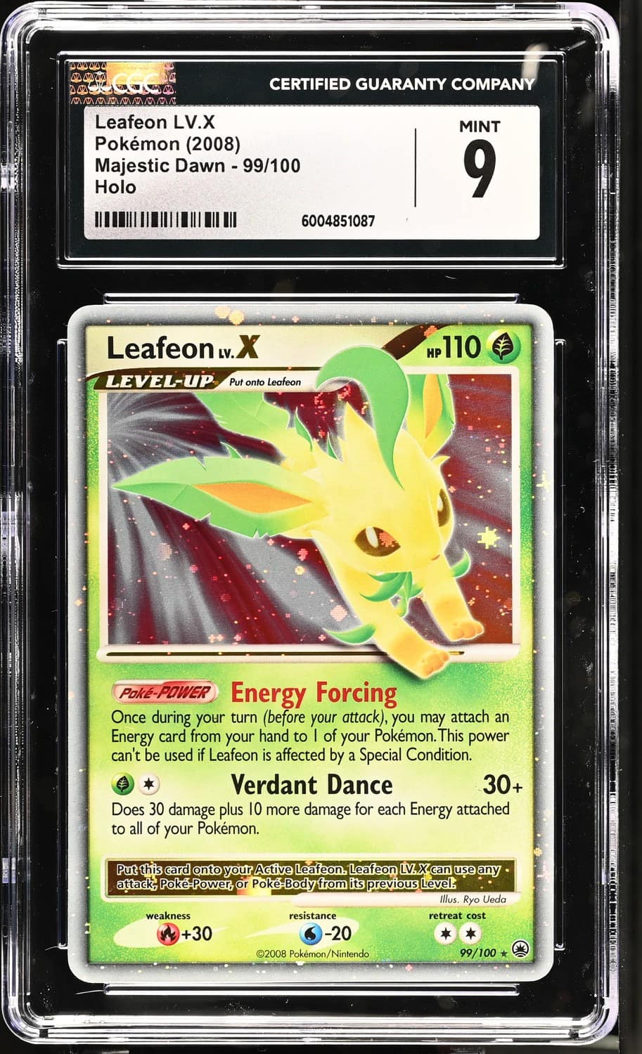 Leafeon Lv X