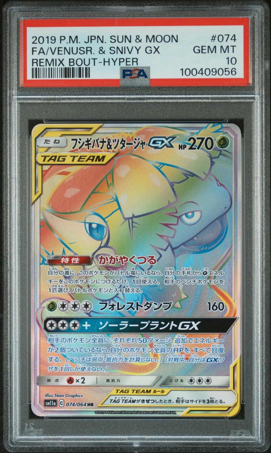 Venusaur & Snivy Gx