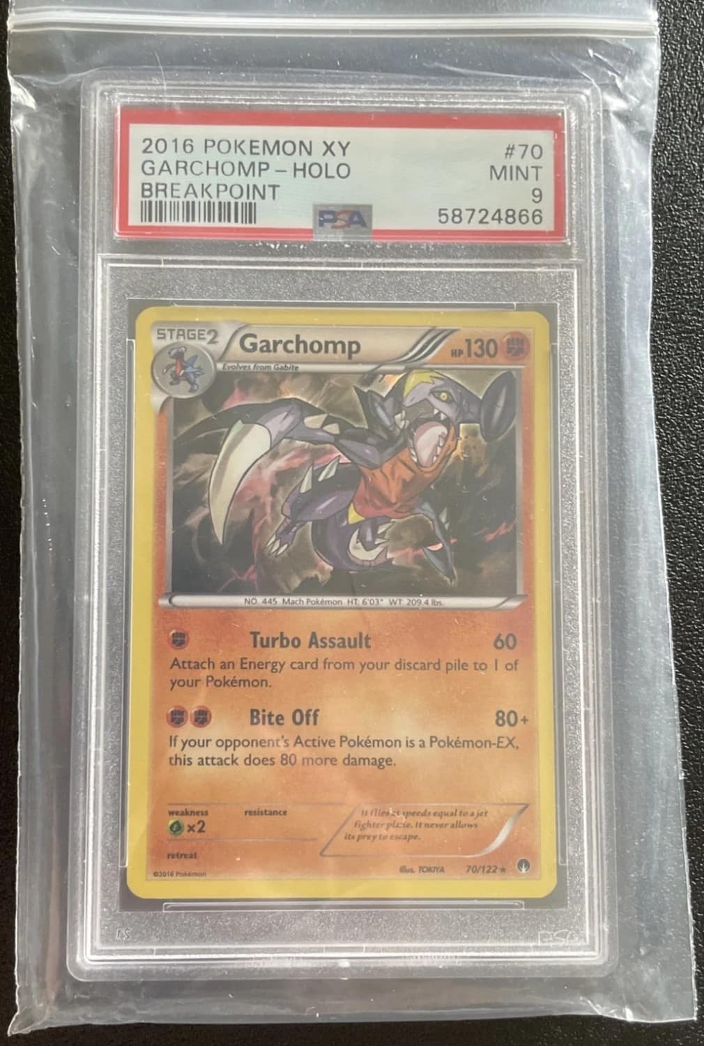 Garchomp