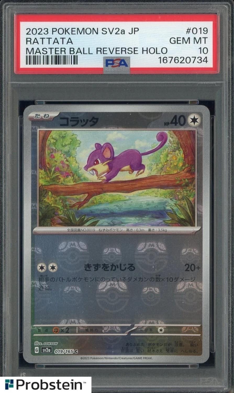 Rattata