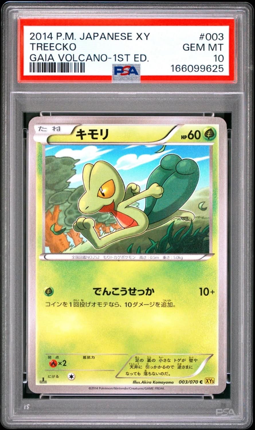 Treecko