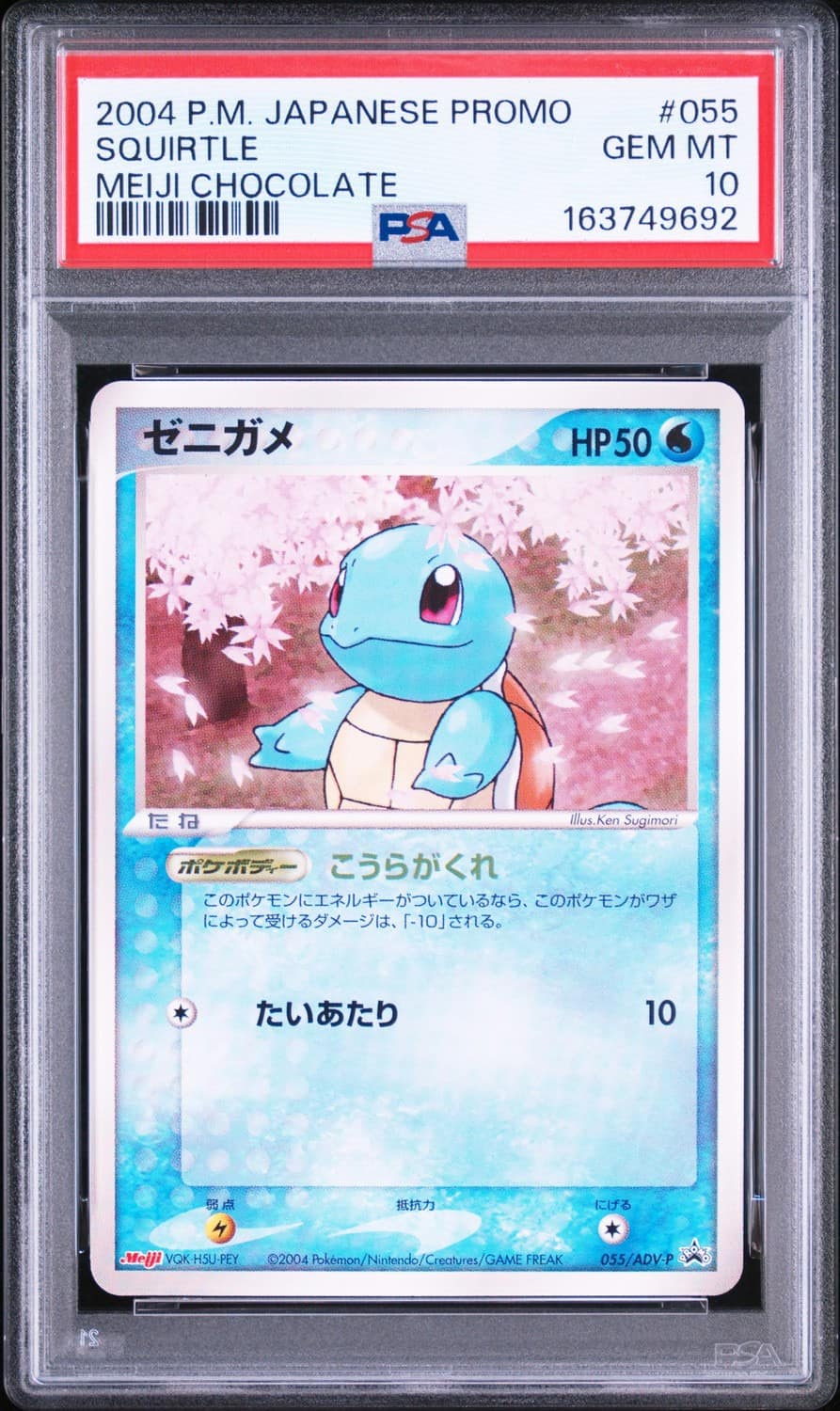 Squirtle