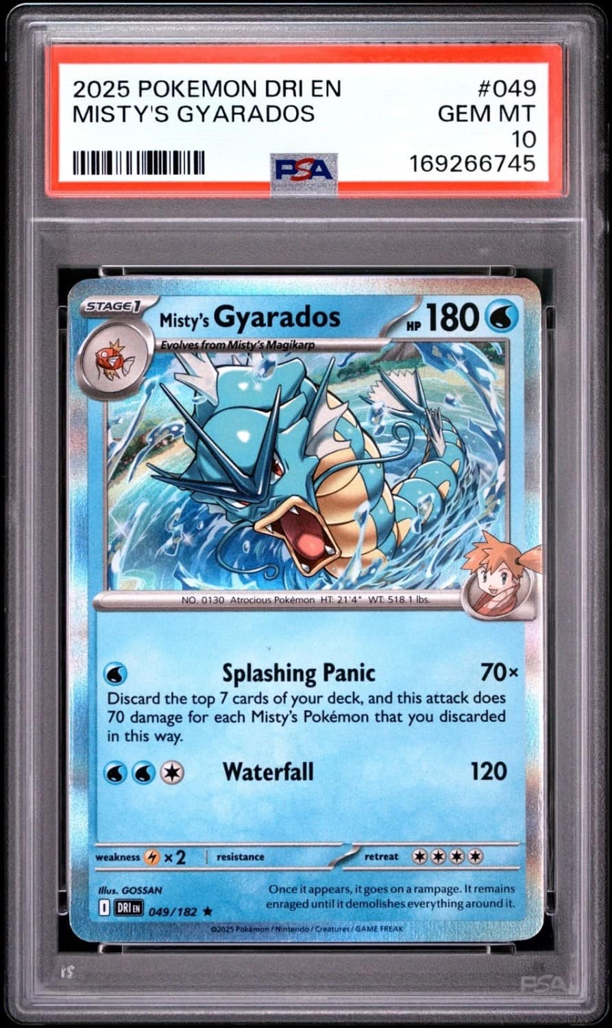 Misty'S Gyarados
