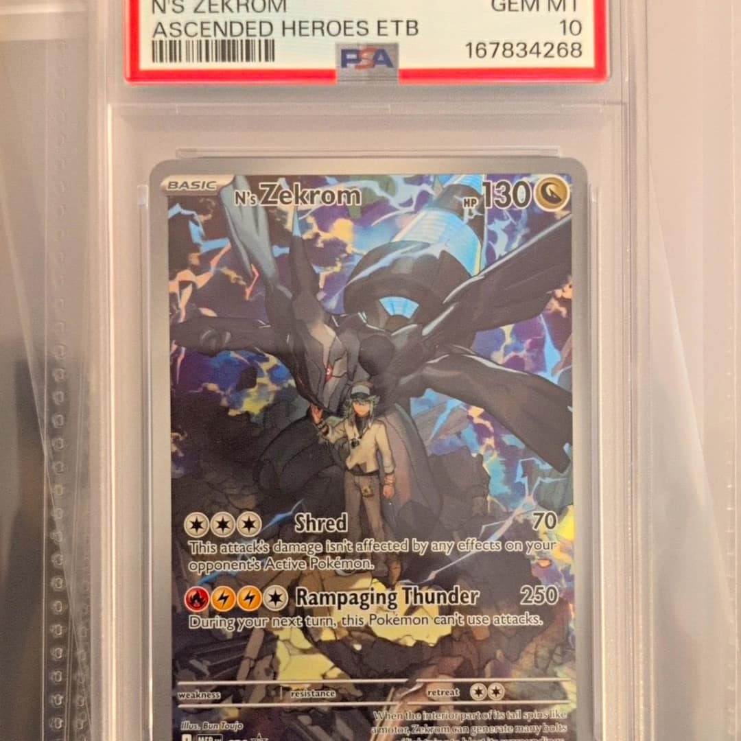 N'S Zekrom