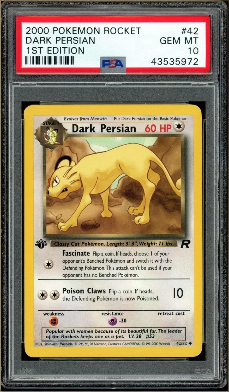 Dark Persian