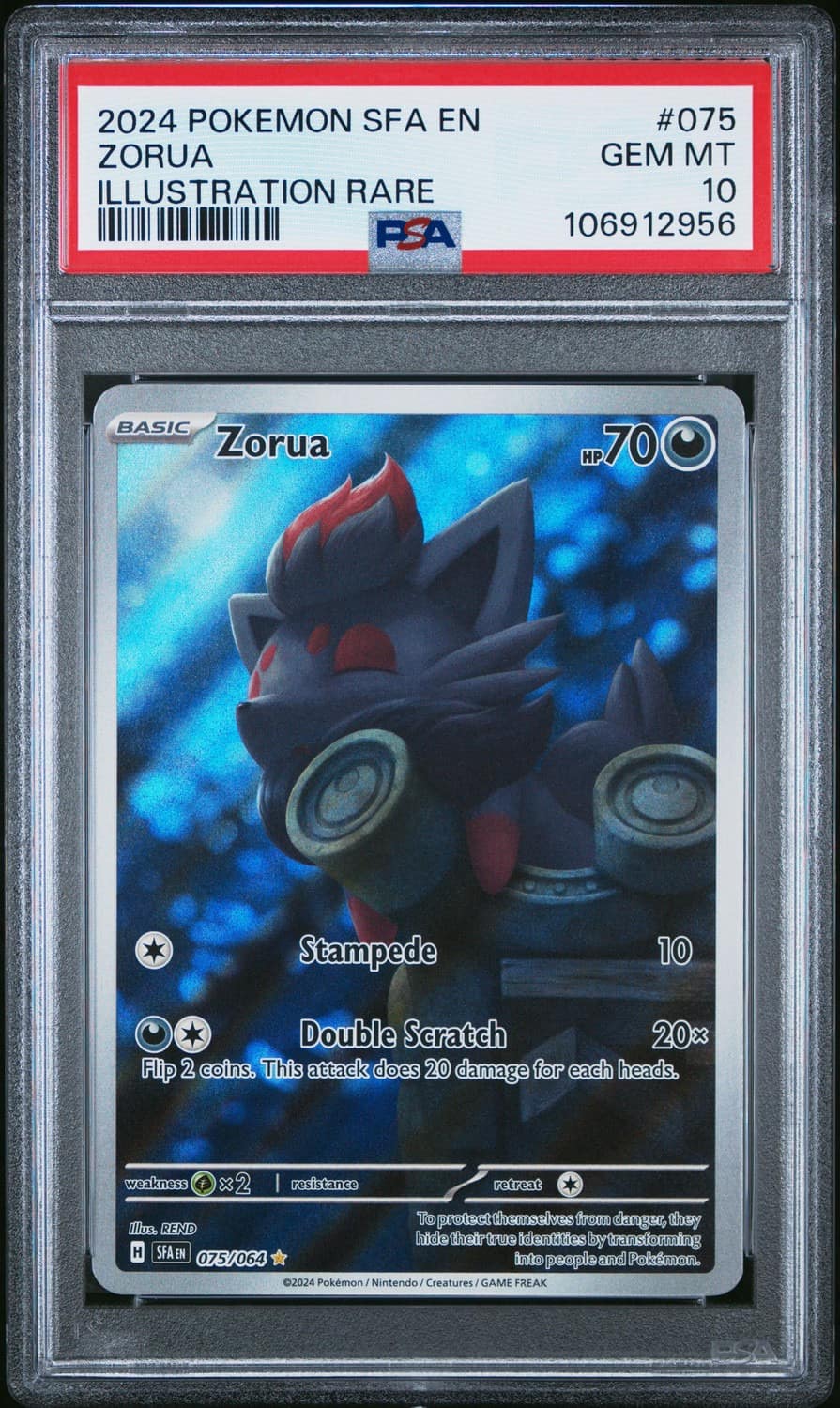 Zorua