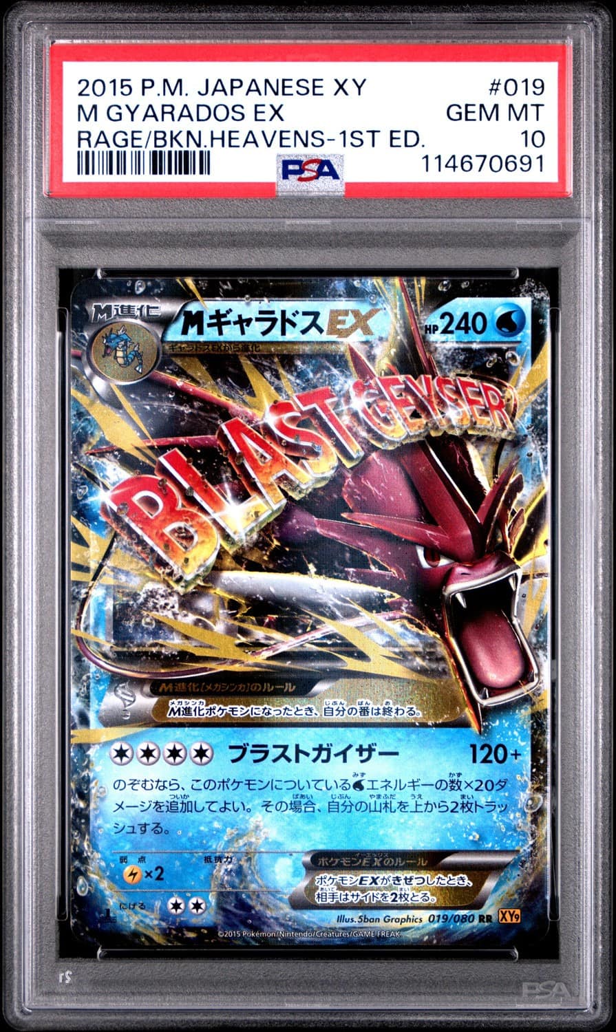M Gyarados Ex