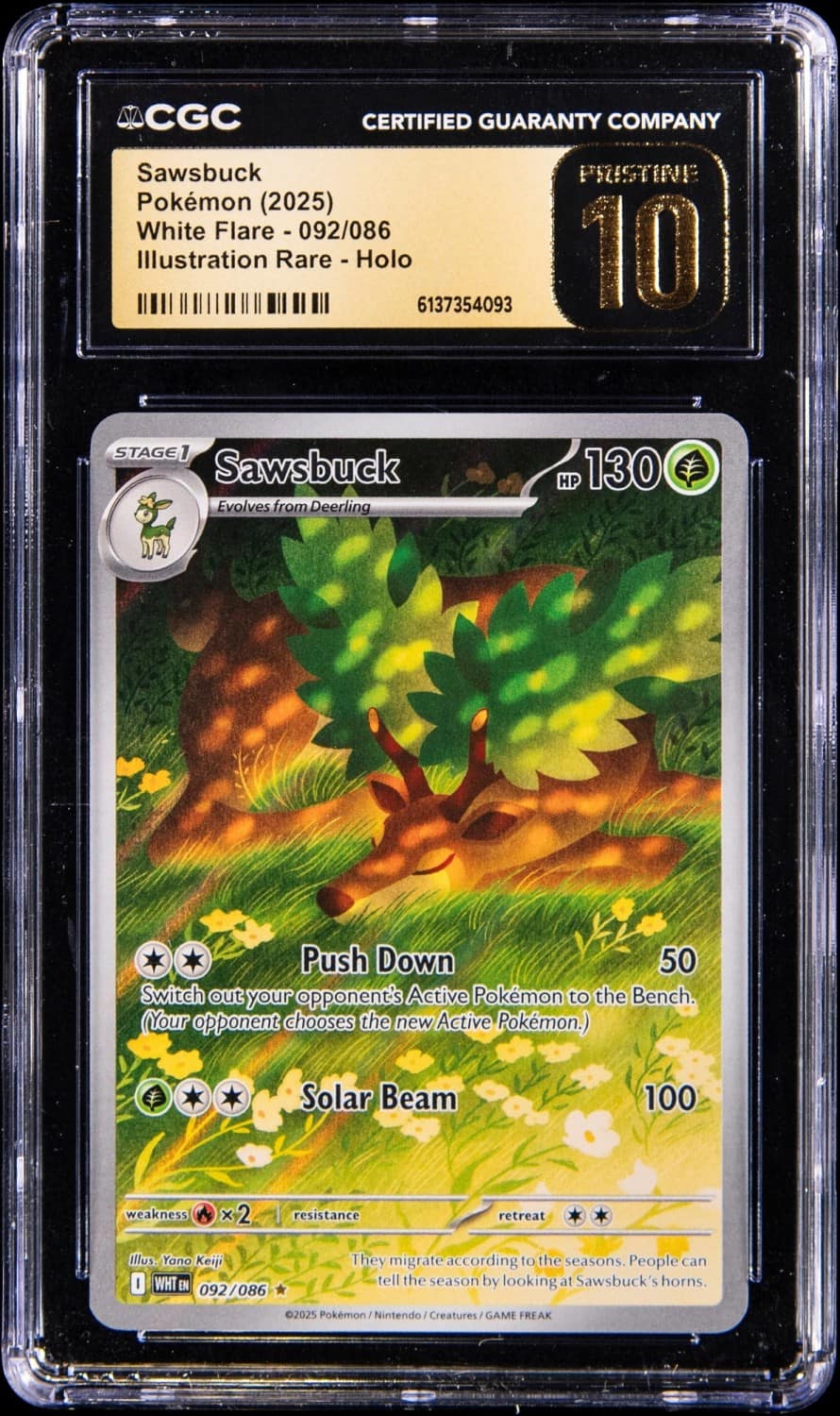 Sawsbuck