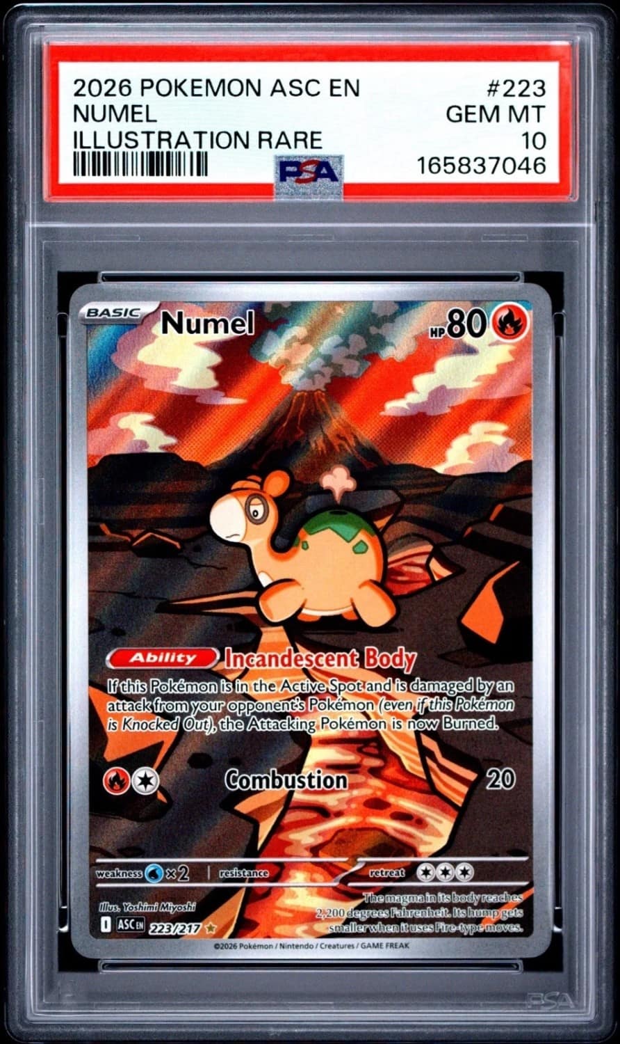 Numel