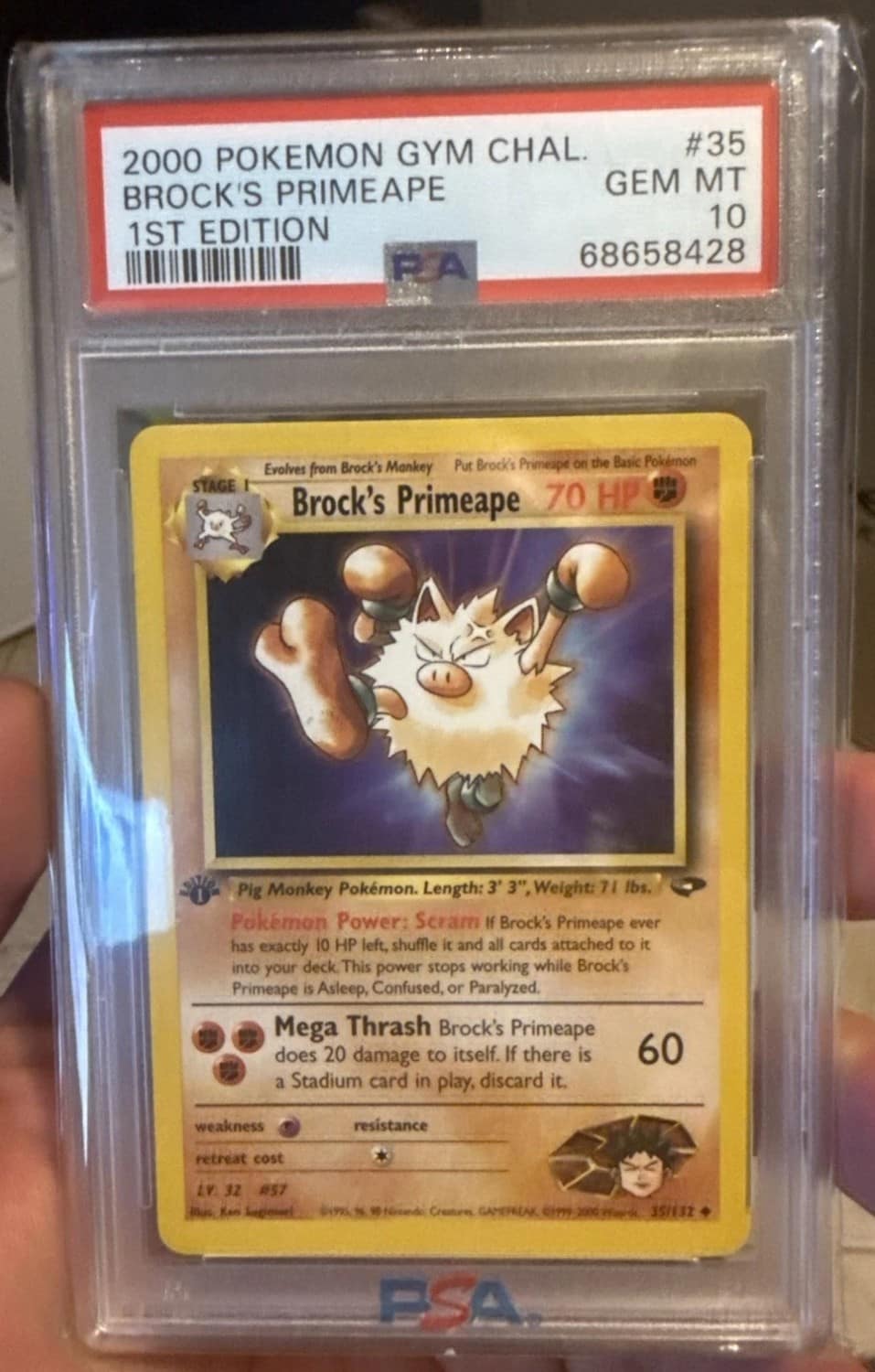 Brock'S Primeape