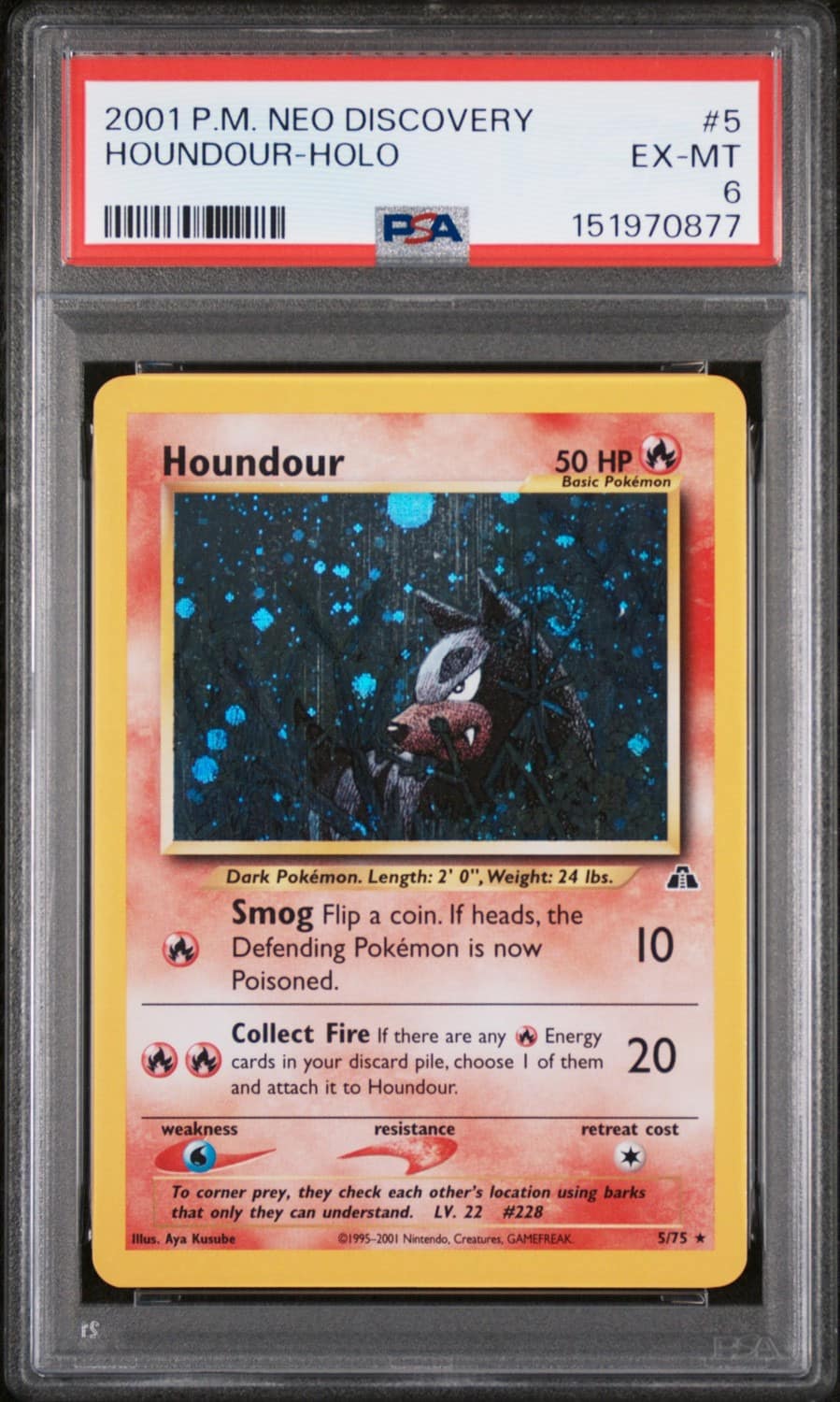 Houndour