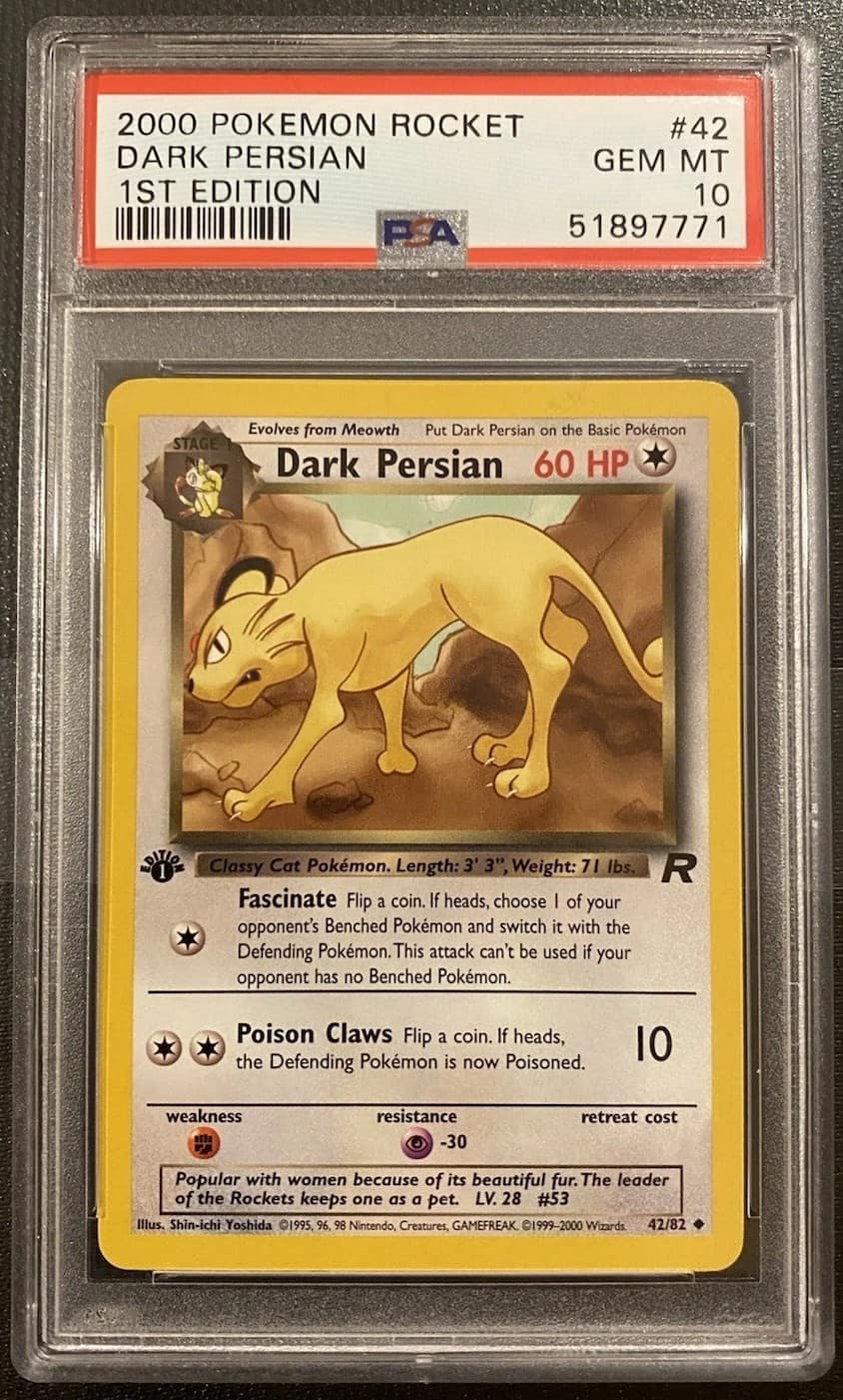 Dark Persian