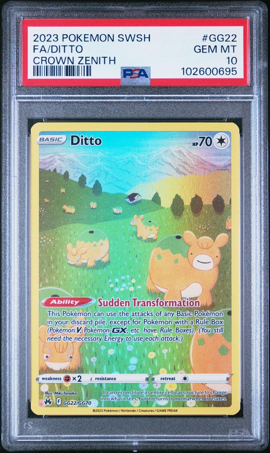 Ditto