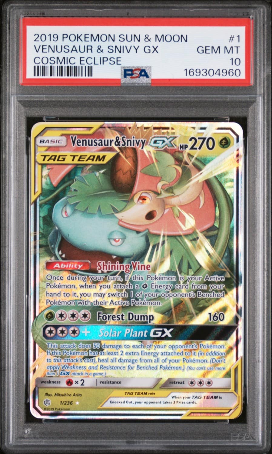 Venusaur & Snivy Gx