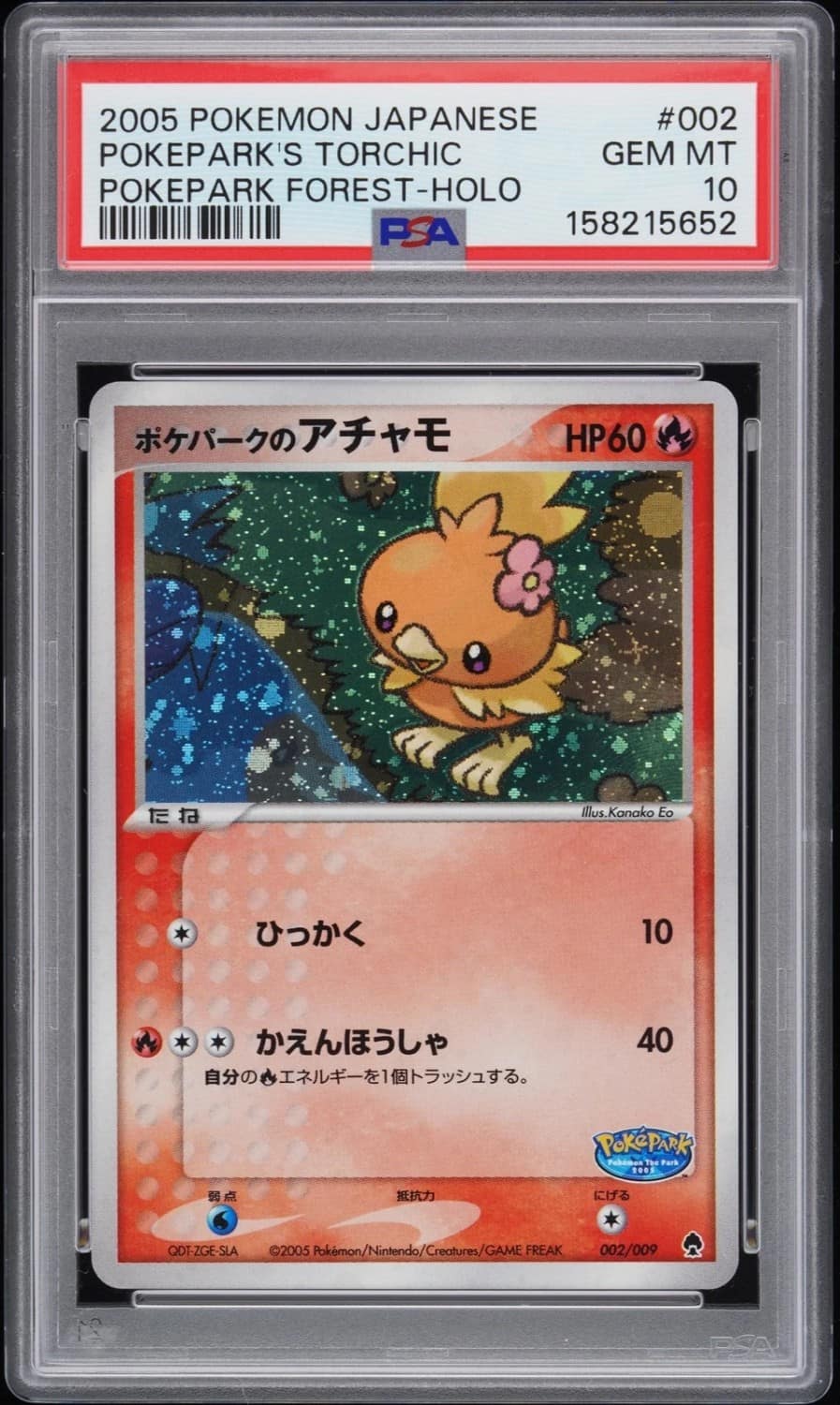 Pokepark'S Torchic
