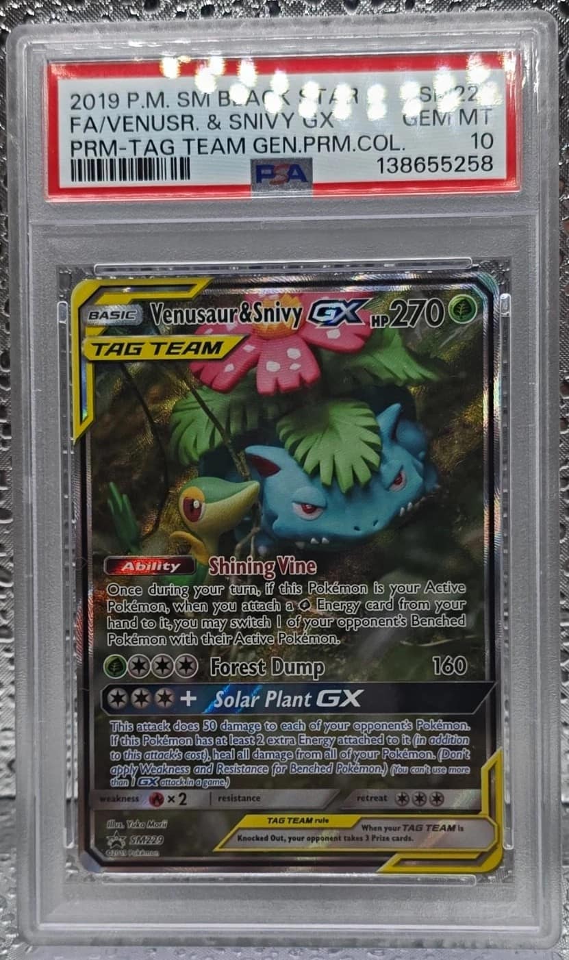 Venusaur & Snivy Gx