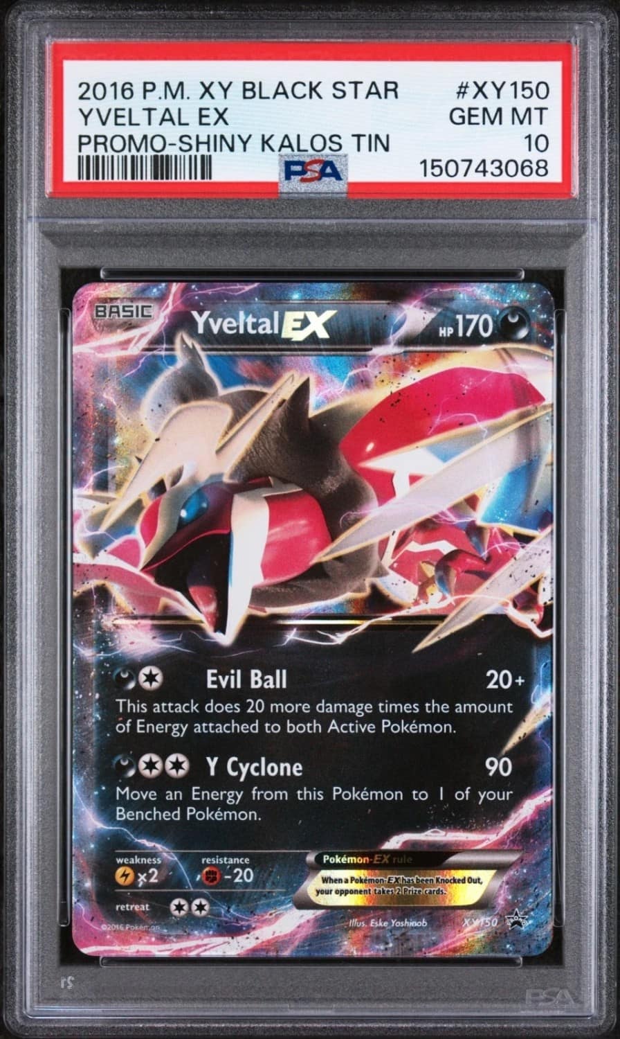 Yveltal Ex