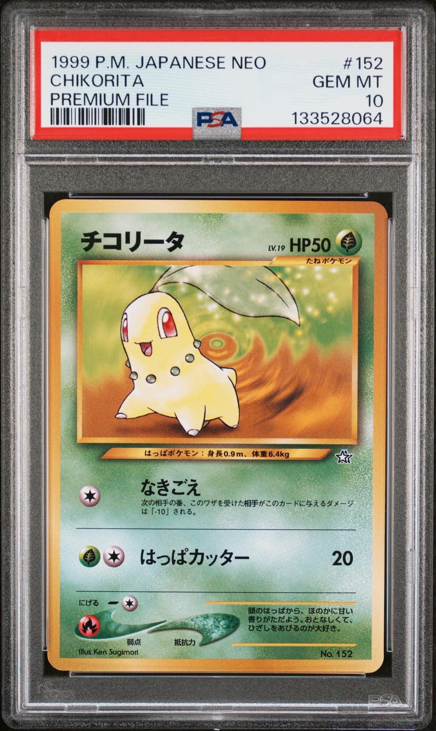 Chikorita