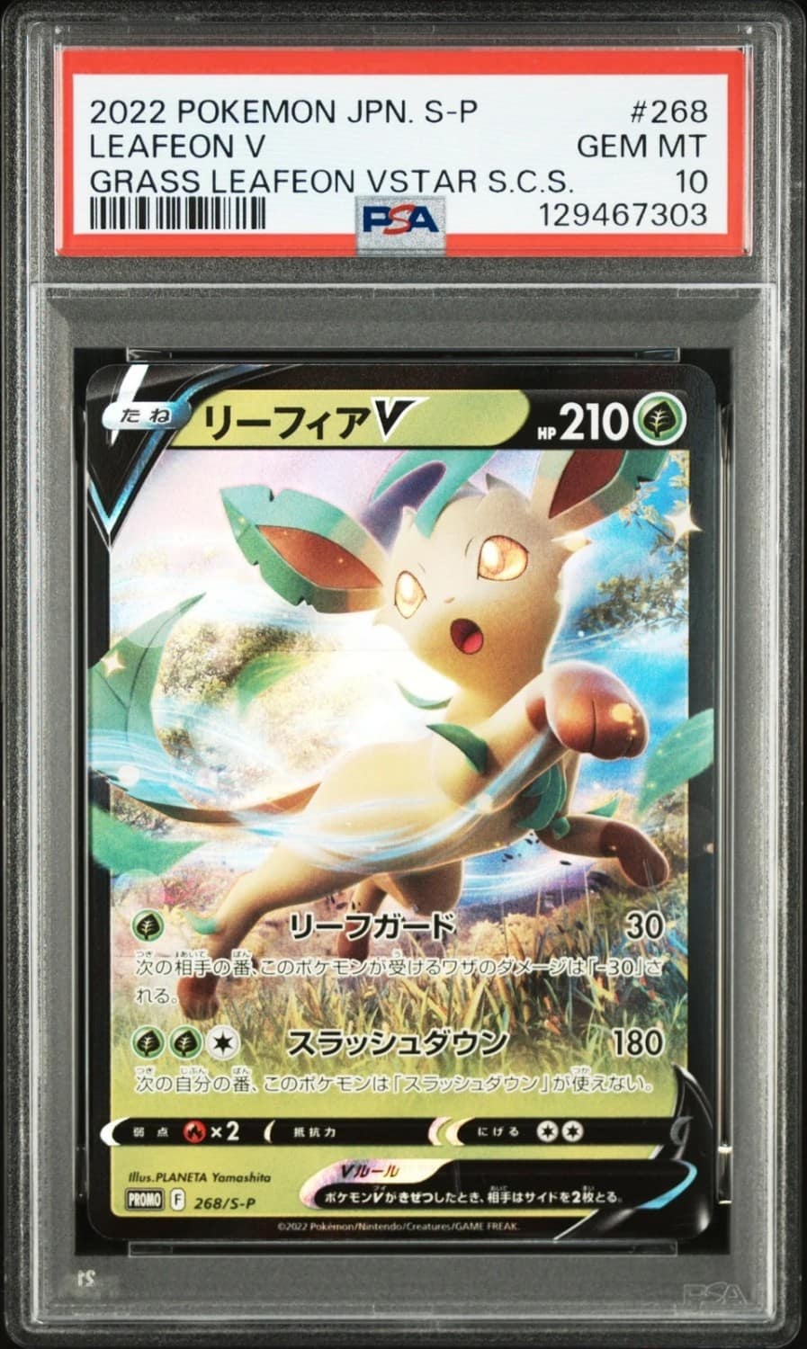 Leafeon V