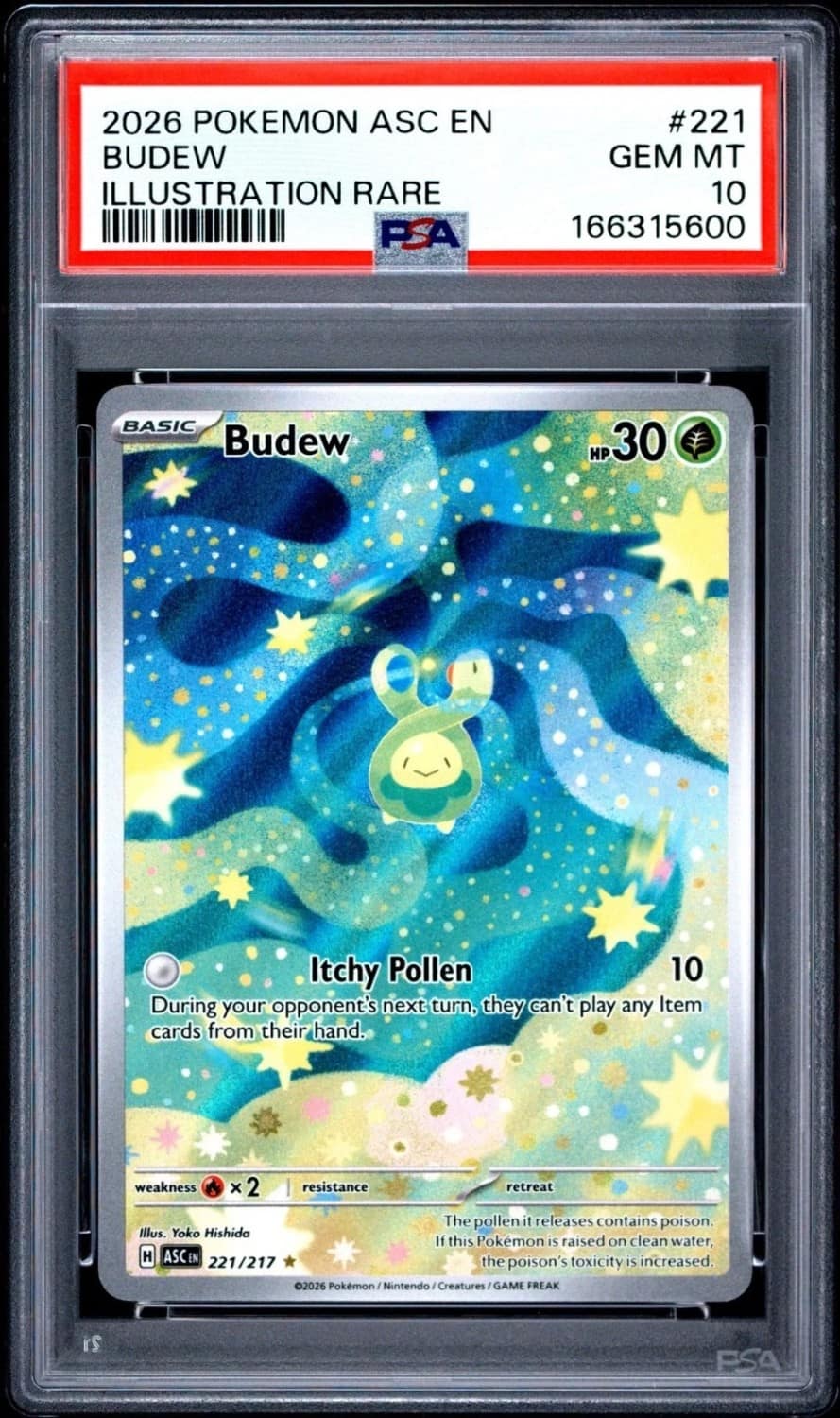 Budew
