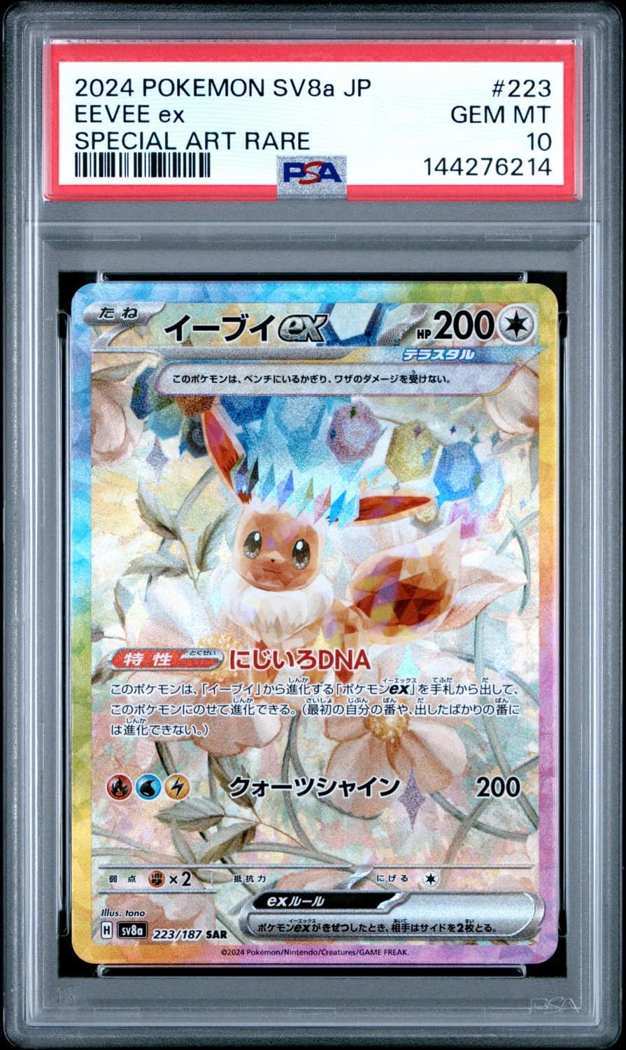 Eevee Ex