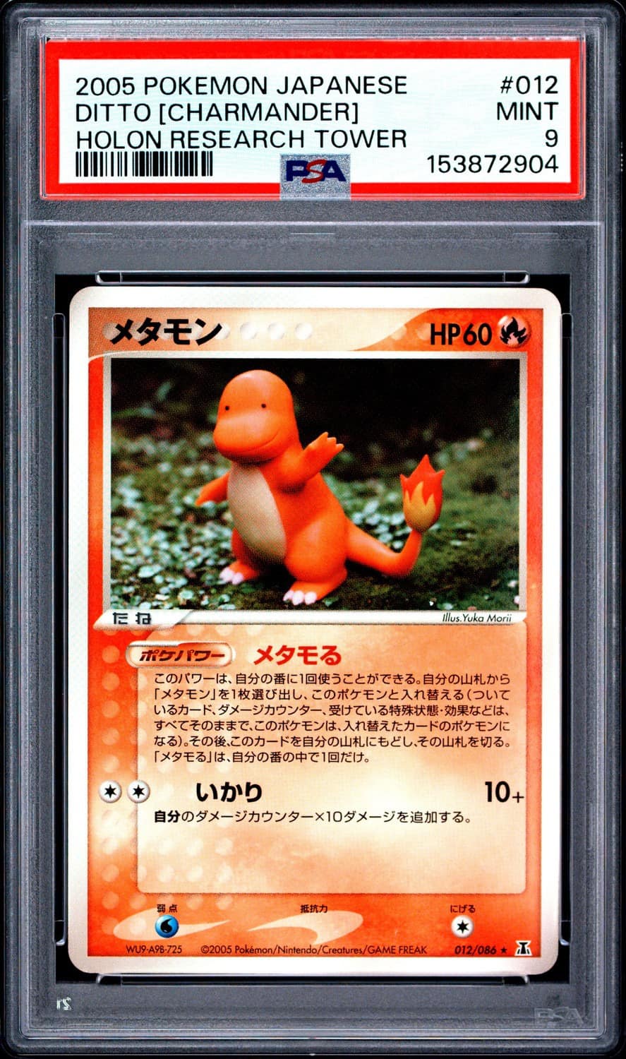 Ditto [charmander]