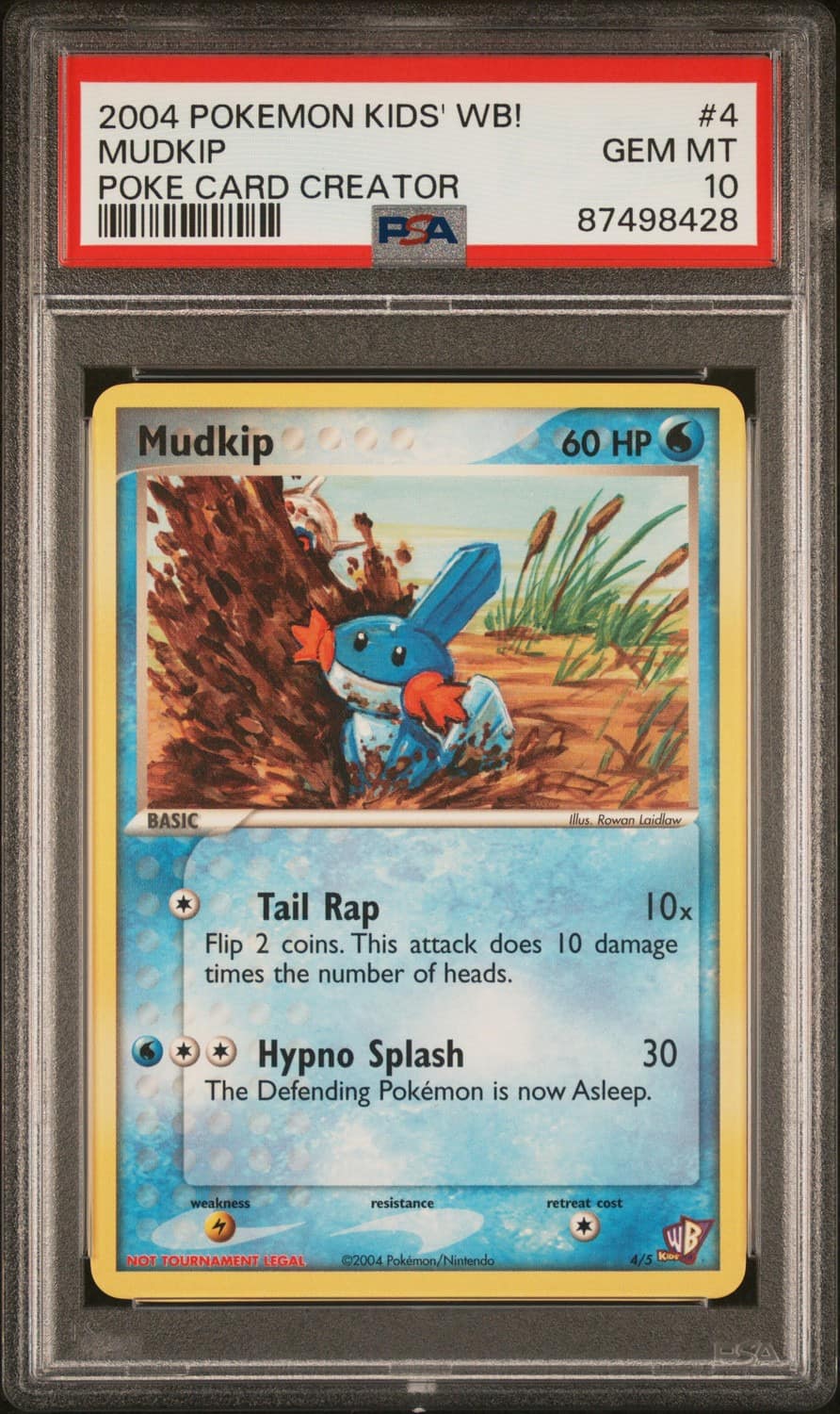 Mudkip