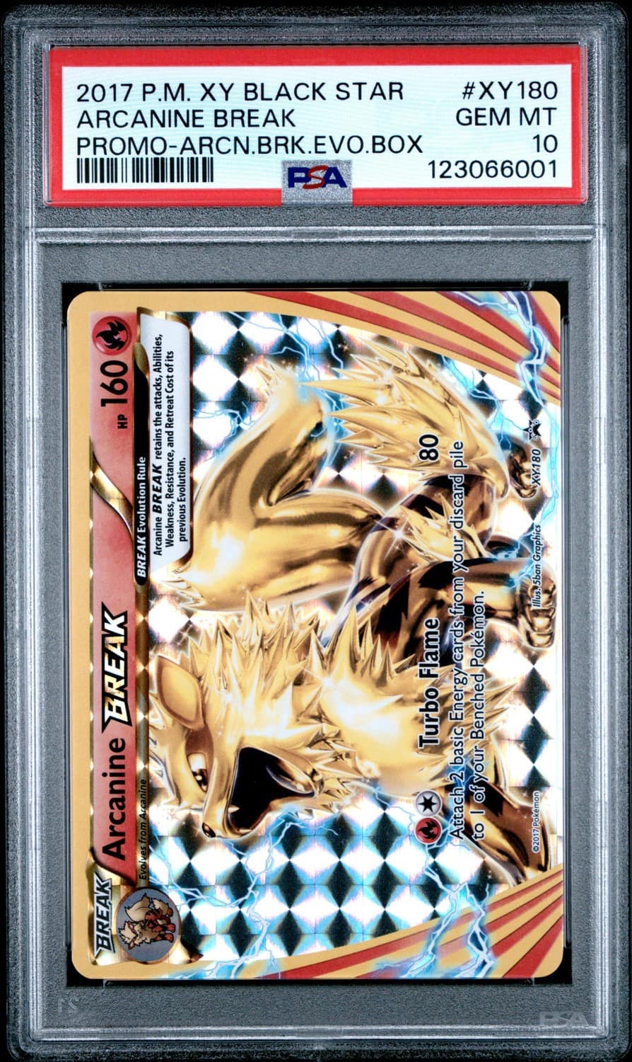 Arcanine Break