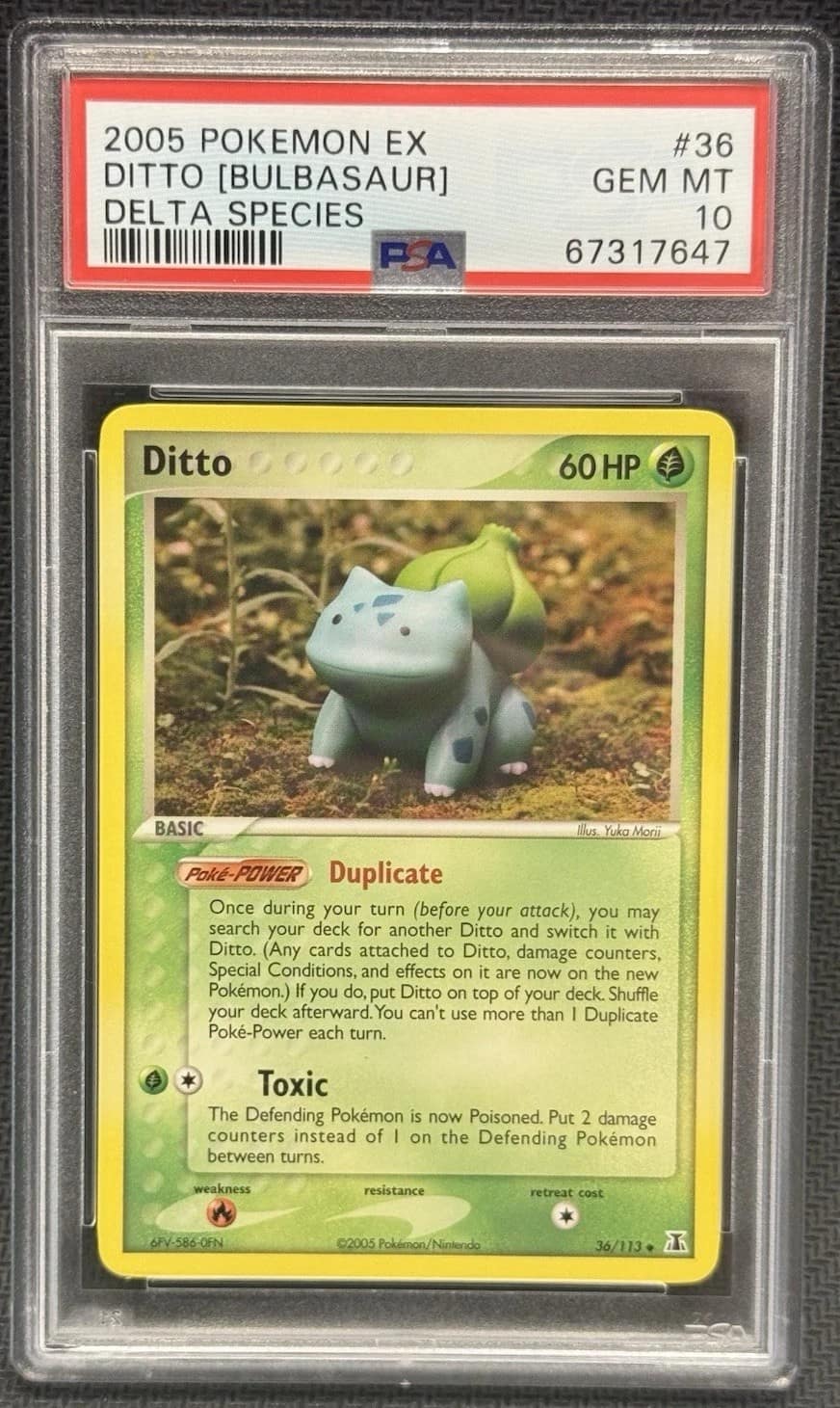 Ditto [bulbasaur]