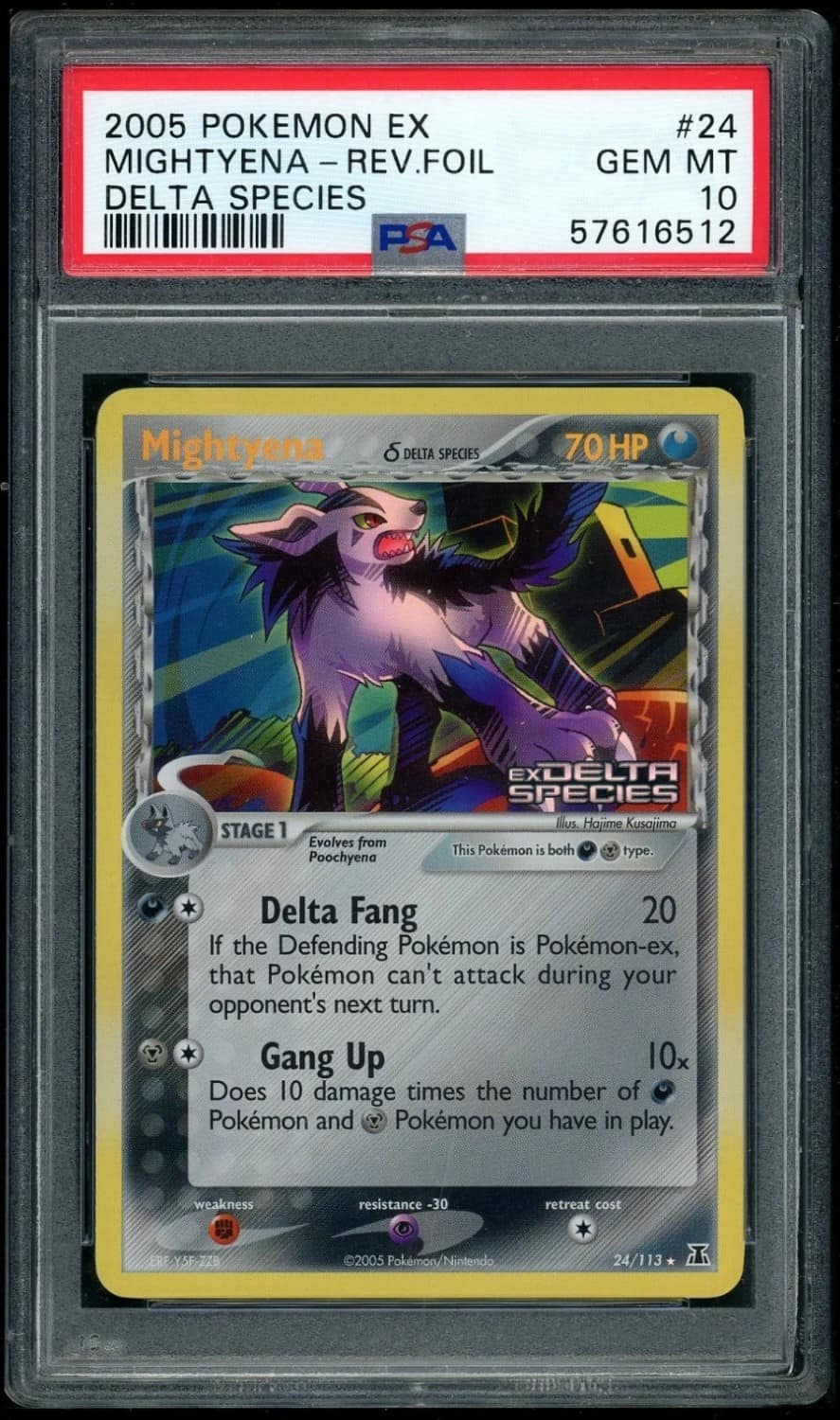 Mightyena δ