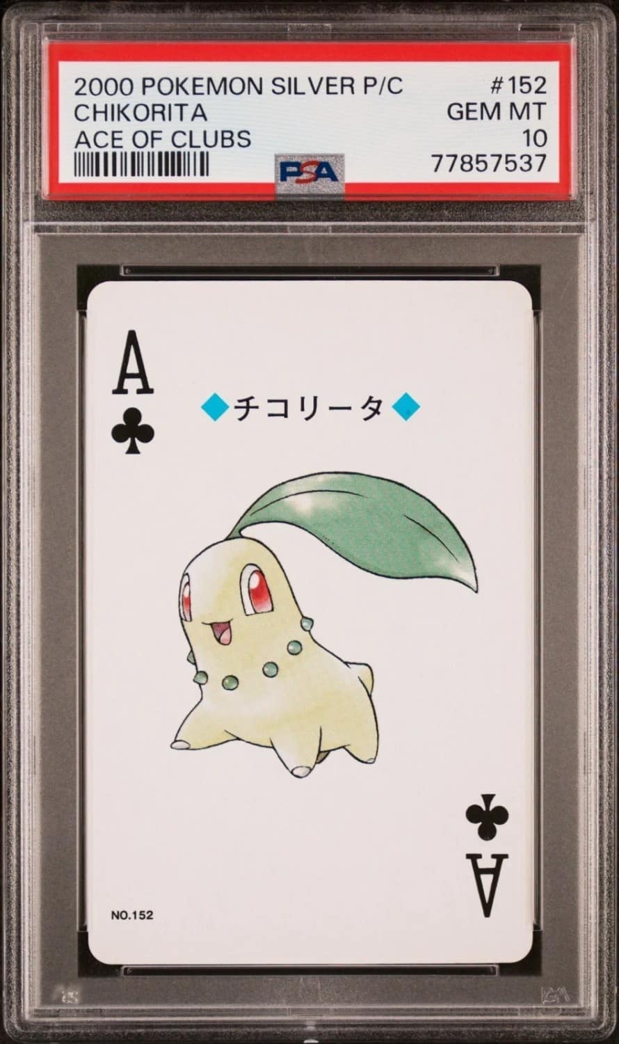 Chikorita