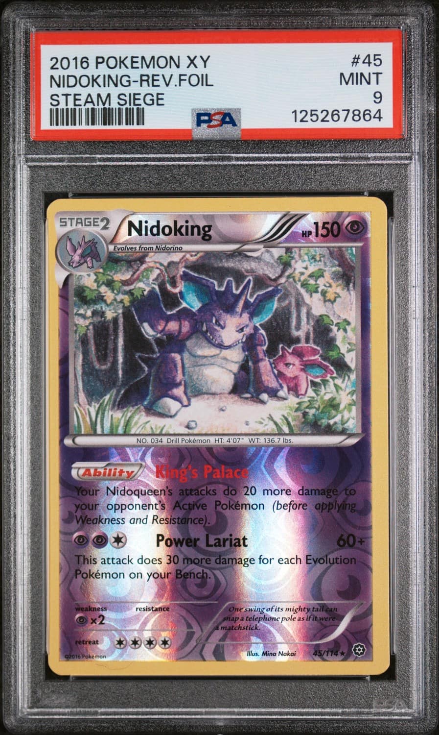 Nidoking