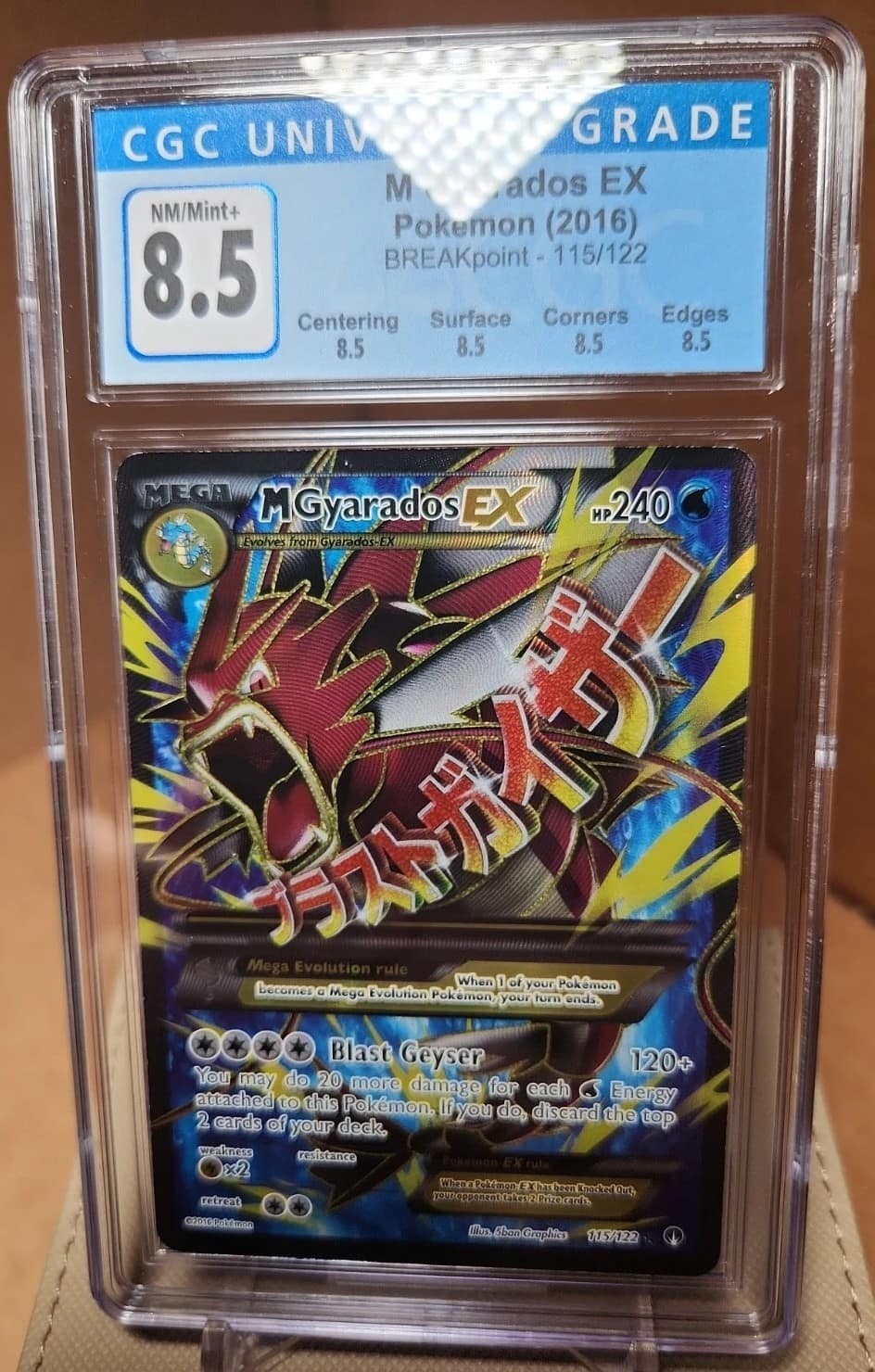 M Gyarados Ex