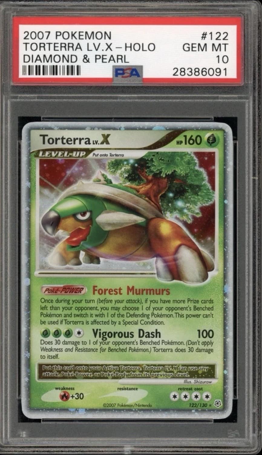 Torterra Lv X
