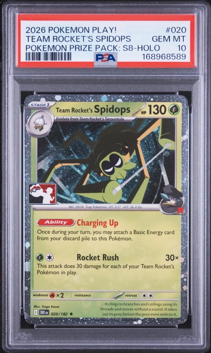Team Rocket'S Spidops