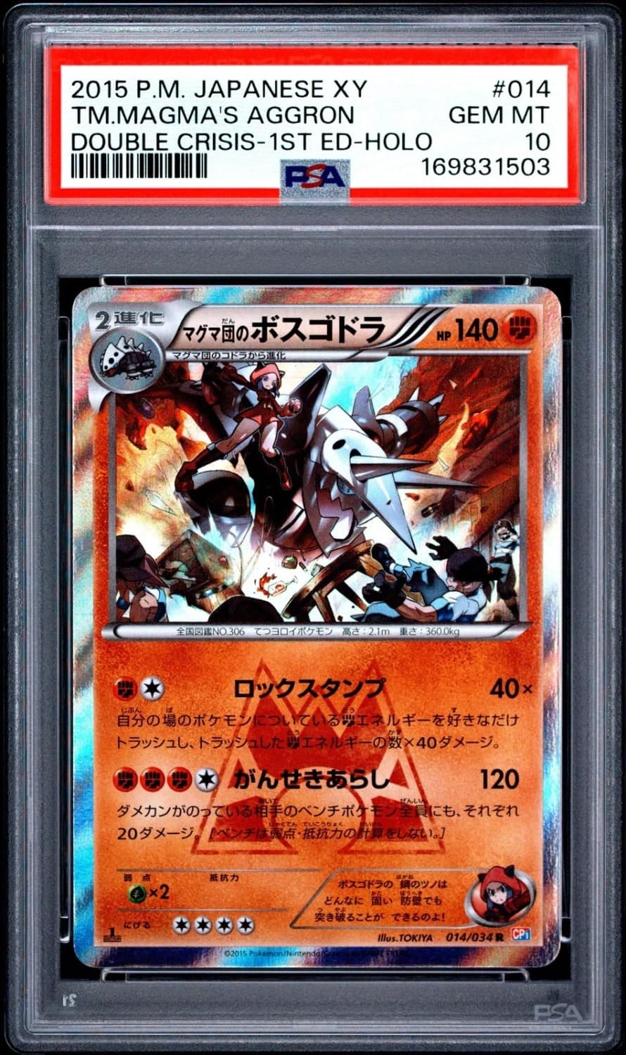 Team Magma'S Aggron