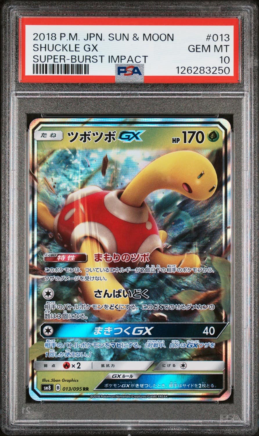 Shuckle Gx