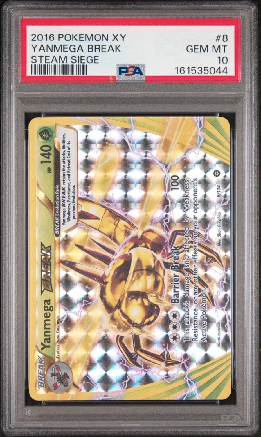 Yanmega Break