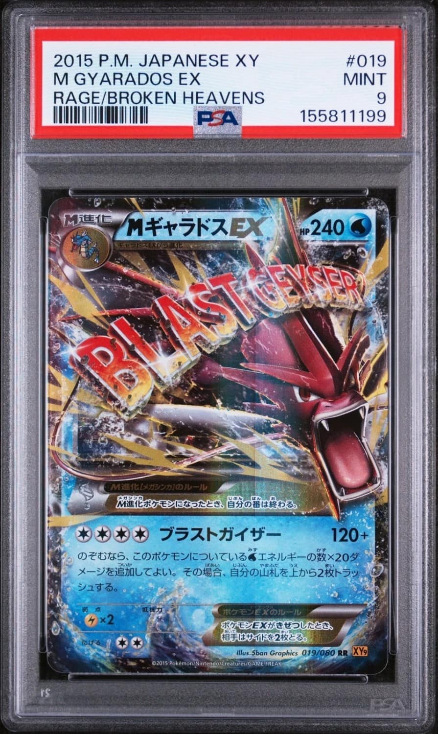 M Gyarados Ex