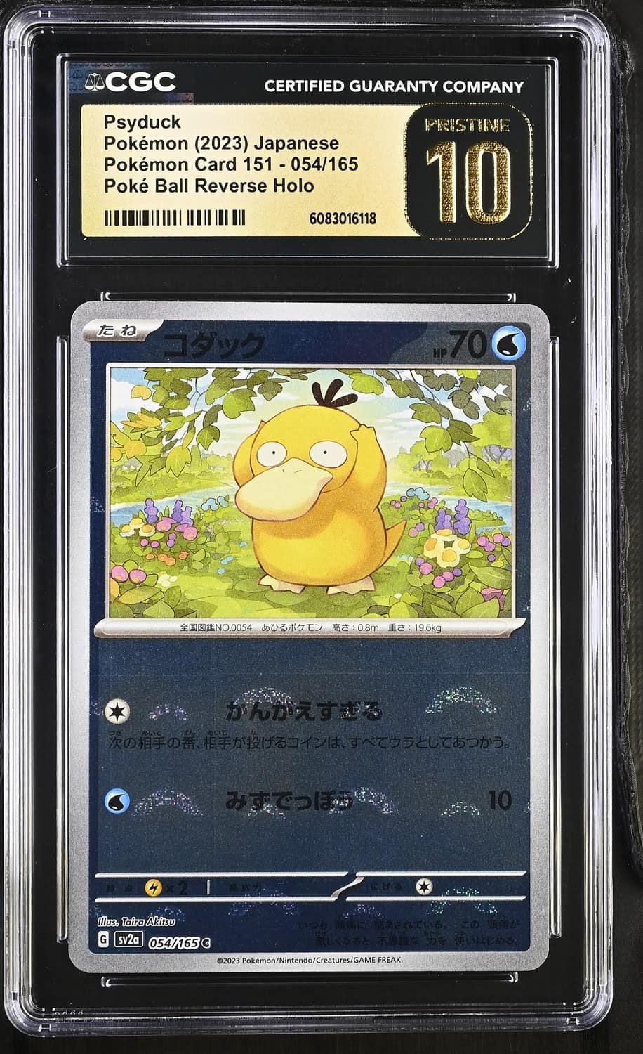Psyduck