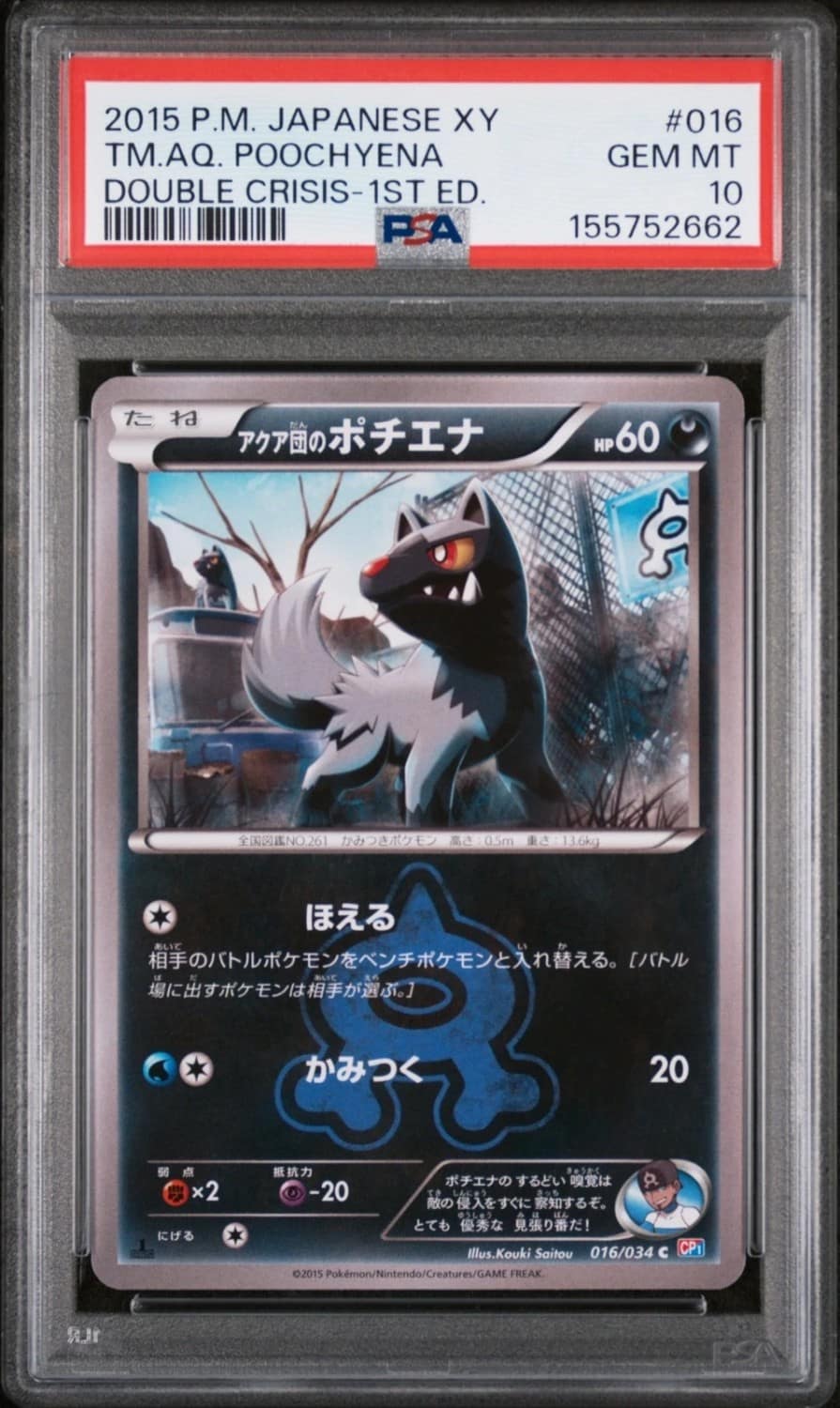 Tm.aq. Poochyena
