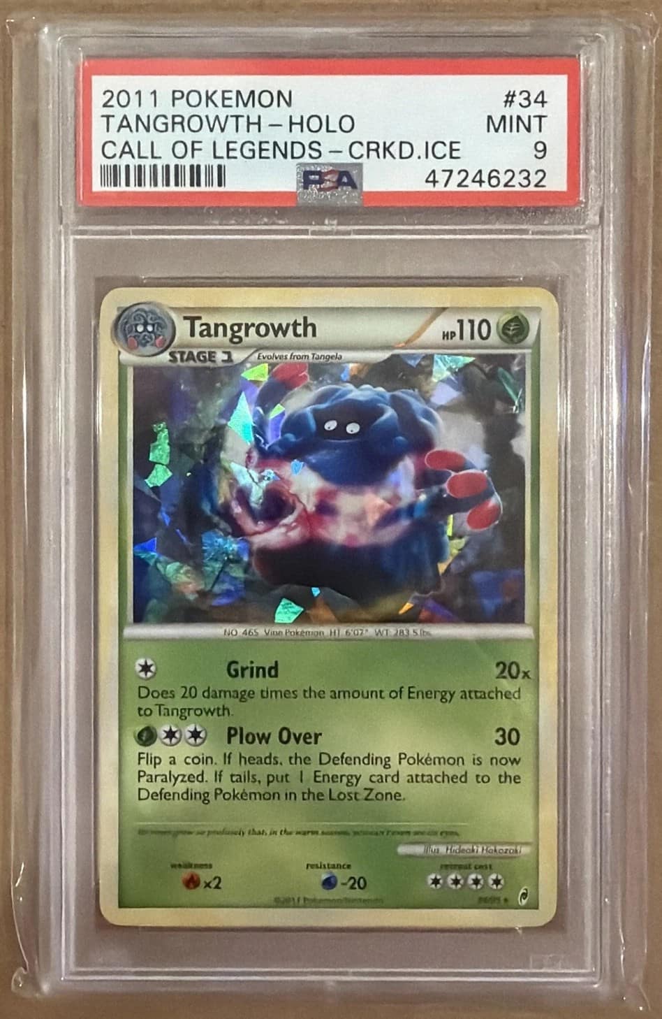 Tangrowth-Rev.foil