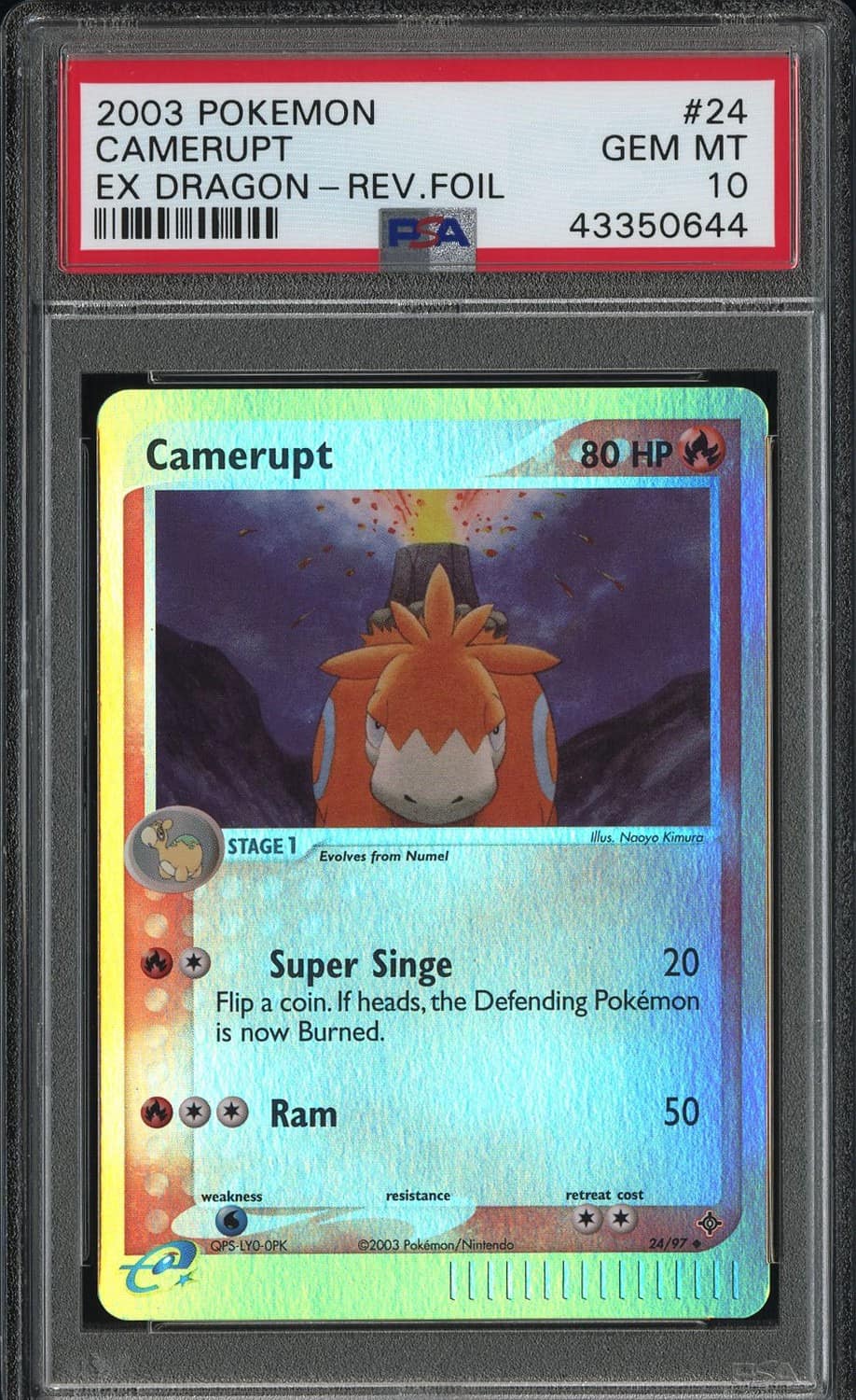 Camerupt