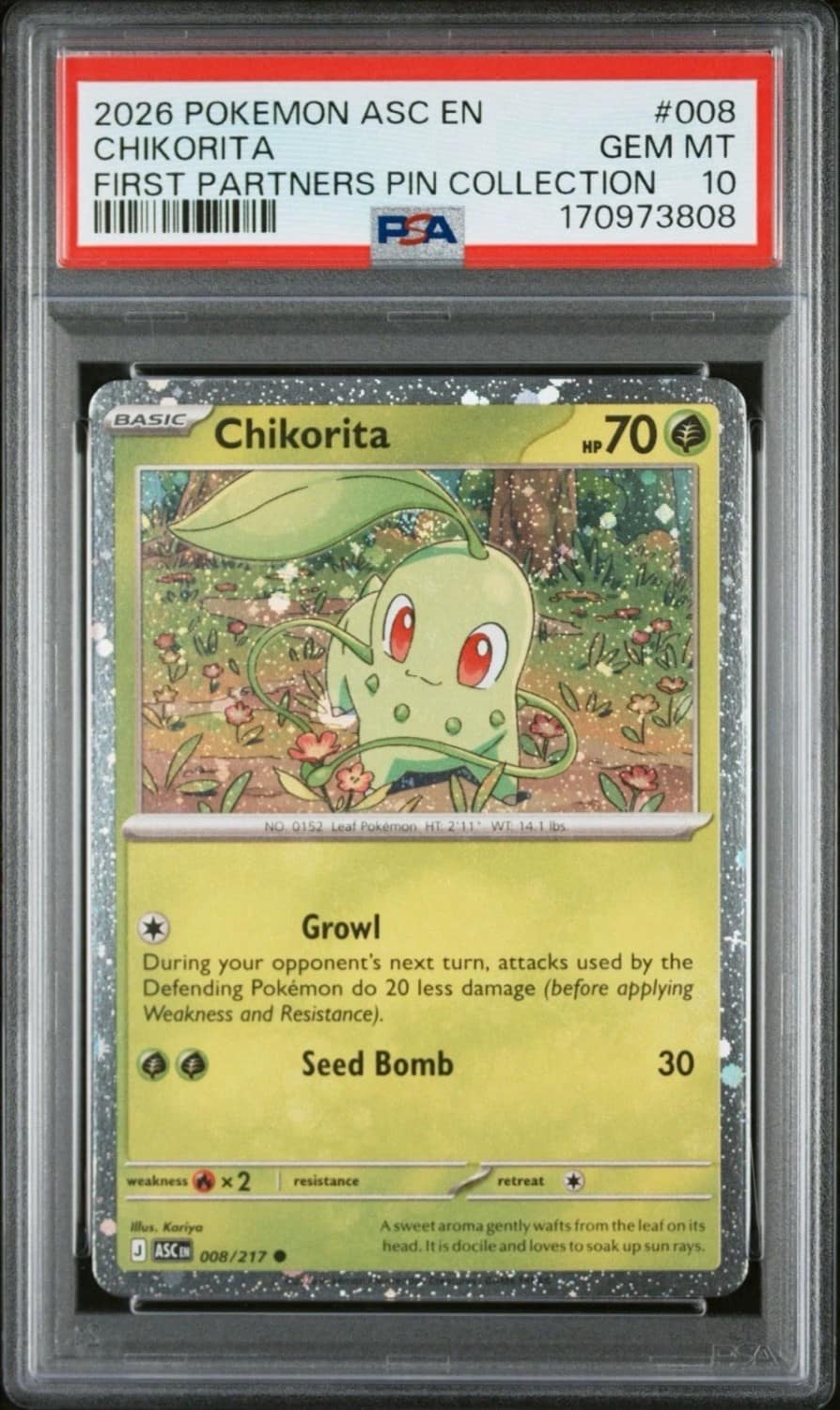 Chikorita